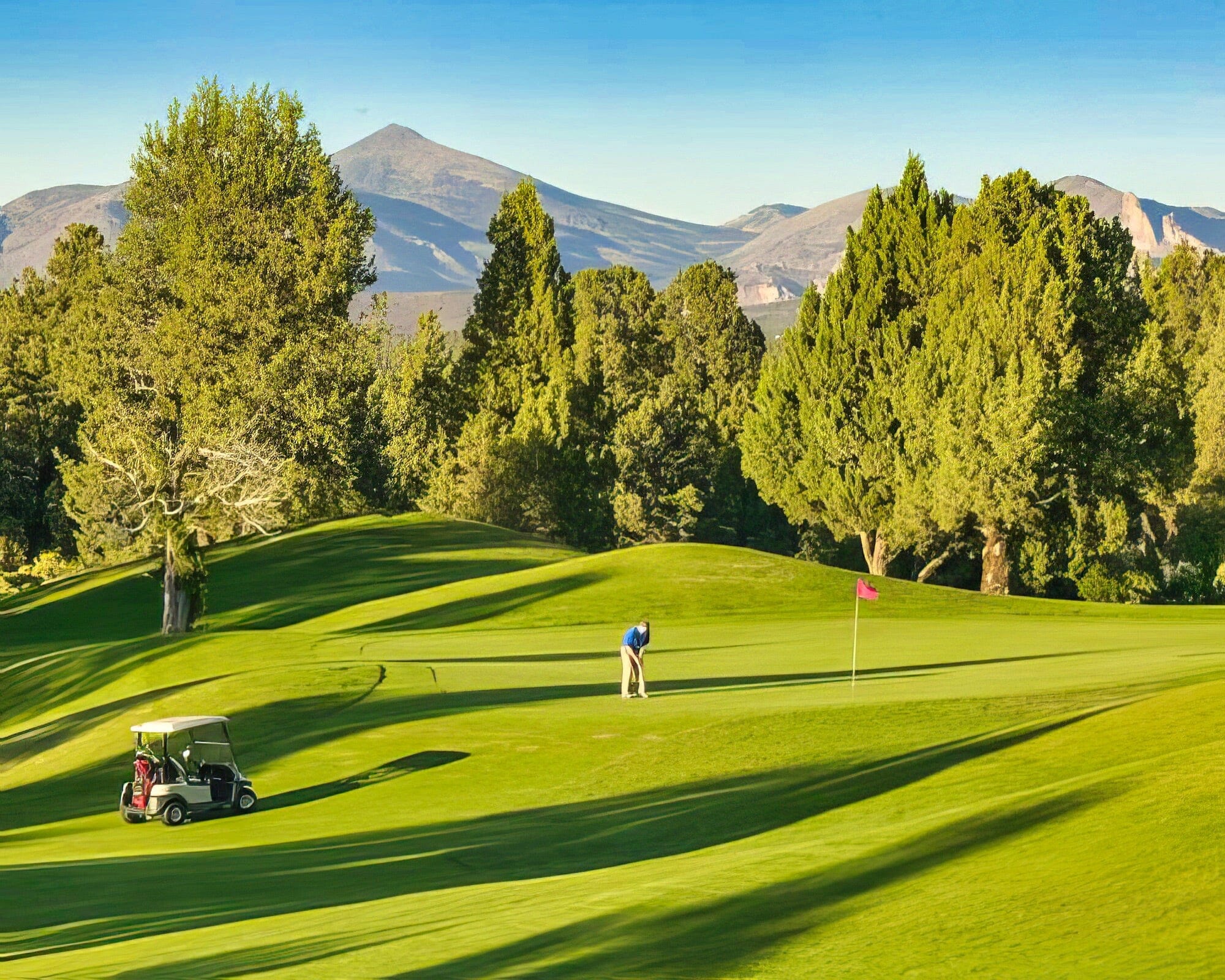 Thumbnail 10